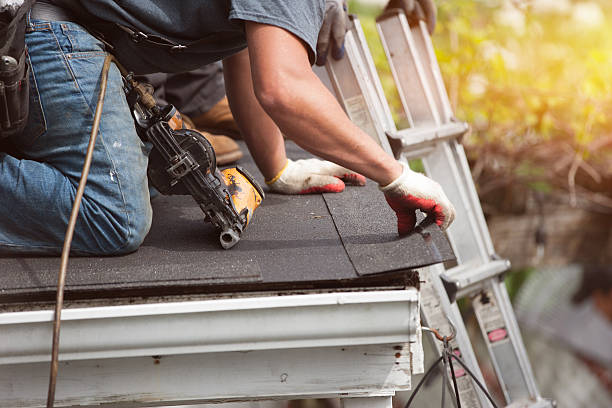 Best Gutter Installation and Roofing  in Dorr, MI