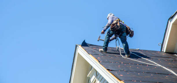 Best Commercial Roofing Services  in Dorr, MI